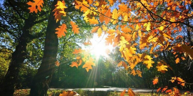 E diela me vranësira, por priten edhe reshje shiu në disa zona/ Çfarë ndodh me temperaturat?