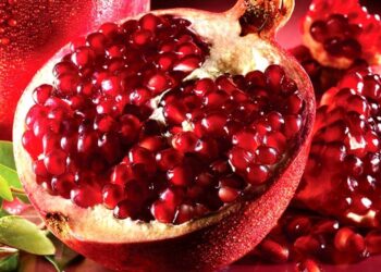 Fruti që lufton kancerin dhe plakjen, përfitimet e konsumimit të shegës