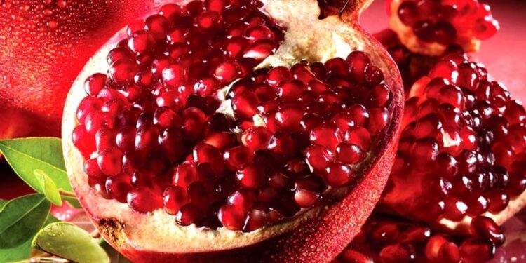 Fruti që lufton kancerin dhe plakjen, përfitimet e konsumimit të shegës