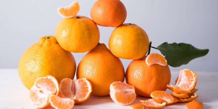 Portokallet apo mandarinat, cilat janë më të mira kundër virozave?