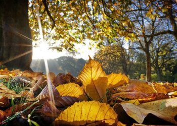 Dita nis me diell, si pritet të ndryshojnë temperaturat përgjatë orëve të pasdites?