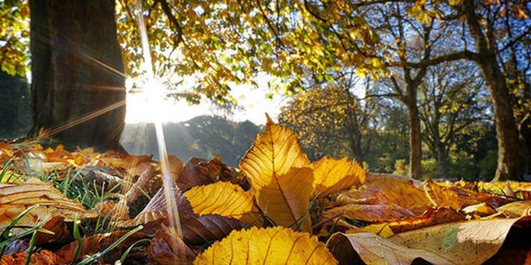 Dita nis me diell, si pritet të ndryshojnë temperaturat përgjatë orëve të pasdites?