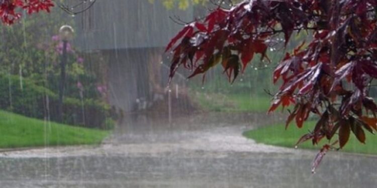 Reshje të dendura shiu dhe dëbore nē këto zona, parashikimi i MOTIT për sot