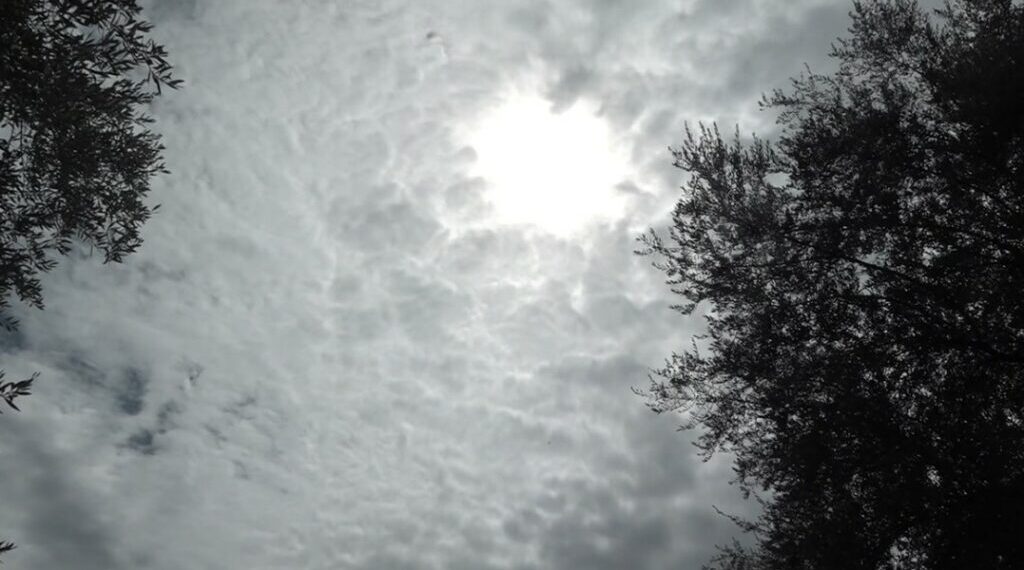 Parashikimi i motit, 23 Dhjetor 2025