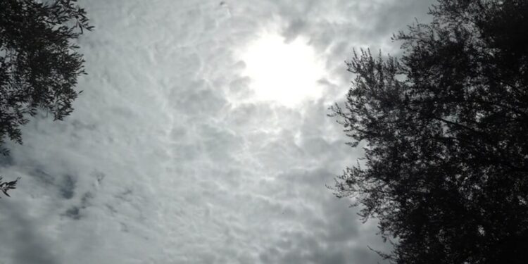 Parashikimi i motit, 23 Dhjetor 2025