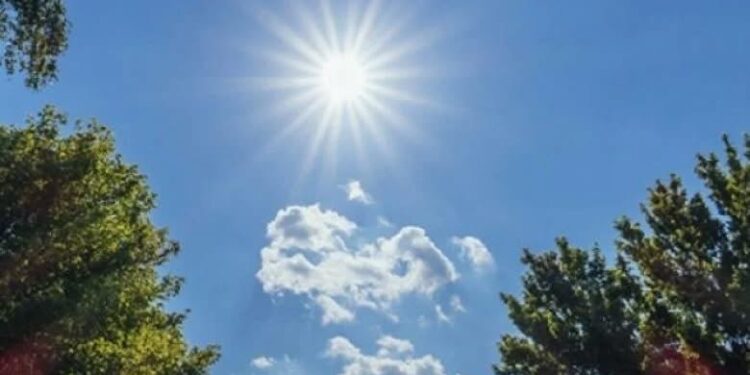 Parashikimi i motit, 28 dhjetor 2025