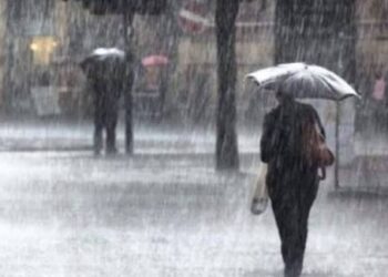 Parashikimi i motit, 11 janar 2026