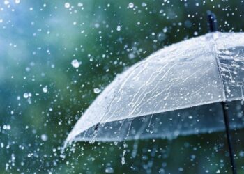 Parashikimi i motit,  26 janar 2026