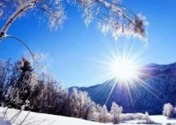 Parashikimi i motit, 19 shkurt 2026