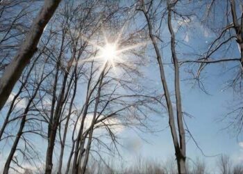 Parashikimi i motit për ditën e sotme, 25 shkurt 2026