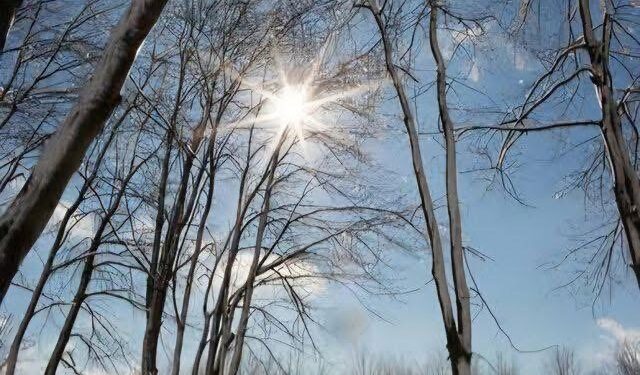 Parashikimi i motit për ditën e sotme, 25 shkurt 2026