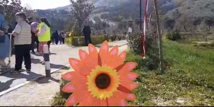 Ditë Vere mes gjelbërimit: Parku i Viroit destinacioni i preferuar i qytetarëve