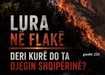 Zjarret në Lurë, kërkohet hetim nga SPAK dhe BKH: “Kush e ka shkaktuar dëmin?”