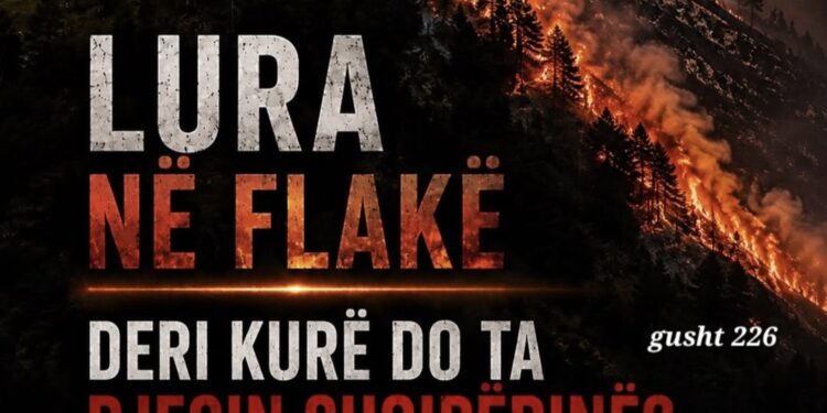 Zjarret në Lurë, kërkohet hetim nga SPAK dhe BKH: “Kush e ka shkaktuar dëmin?”